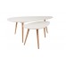 SIDE TABLE DROP SET OF 2