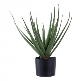 Umělá rostlina ALOE VERA zelená 51 cm