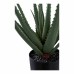 Umělá rostlina ALOE VERA zelená 51 cm