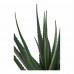 Umělá rostlina ALOE VERA zelená 51 cm