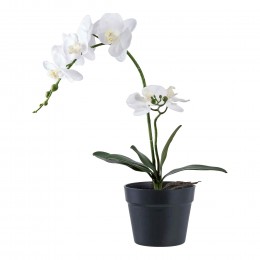 Umělá rostlina ORCHIDEJ  zelenobílá 47 cm